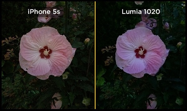lumia-1020-iphone-5s-low-light-flower