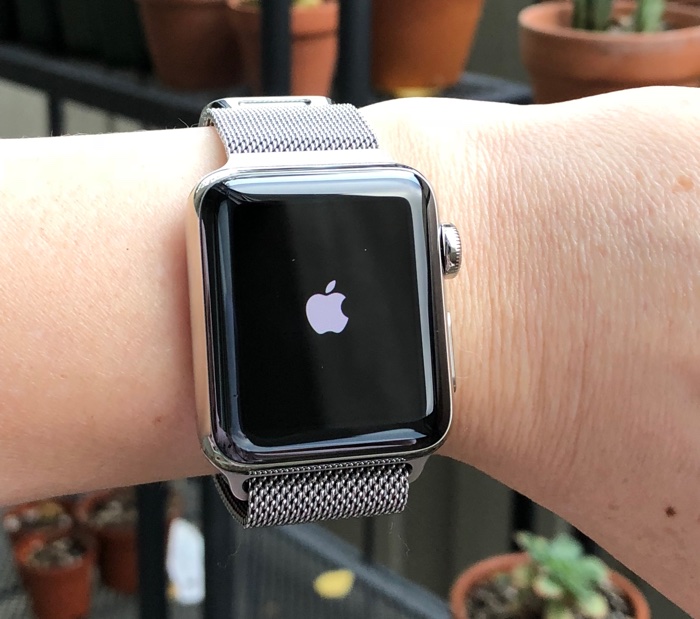 Apple Watch Respring