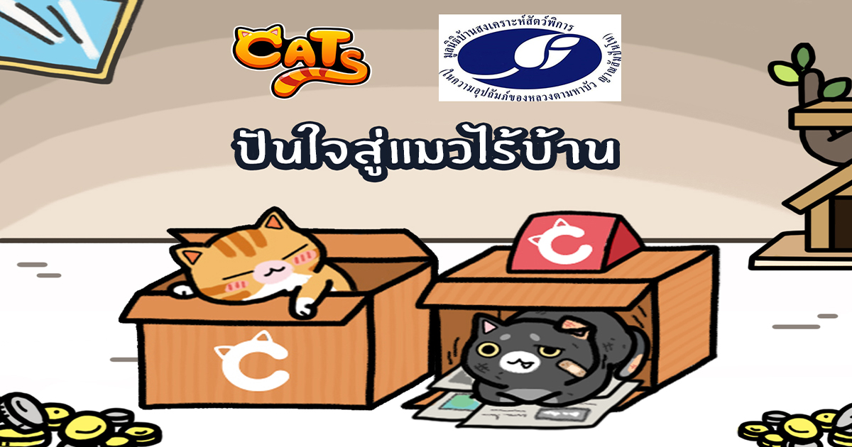 Charity Campaign Line cats