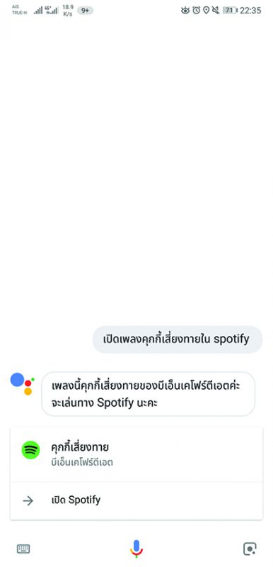 google assistant spotify