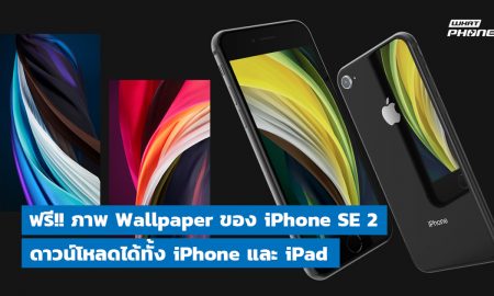 free download wallpaper iPhone se 2 for iphone and ipad
